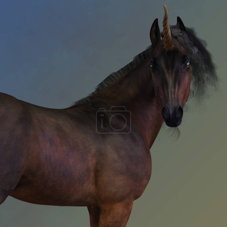 Photo for Bay Unicorn, illustration picture - Royalty Free Image