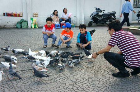 Téléchargez les photos : Pigeons dans la rue - en image libre de droit
