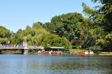 Foto de Barcos cisnes en los jardines públicos de Boston - Imagen libre de derechos