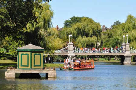 Téléchargez les photos : Bateaux de cygne au Public Gardens à Boston - en image libre de droit