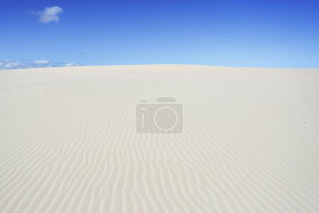 Photo for Miles and Miles of Sand at Dark Point - Royalty Free Image