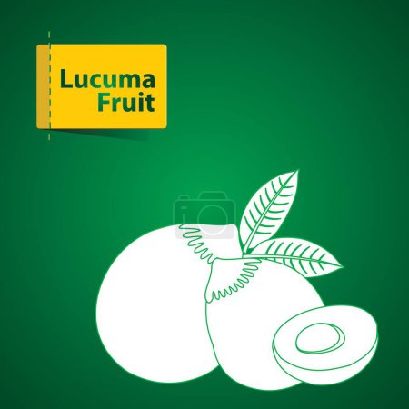 Téléchargez les photos : Fruits Illustration sur fond vert, lucuma fruit - en image libre de droit