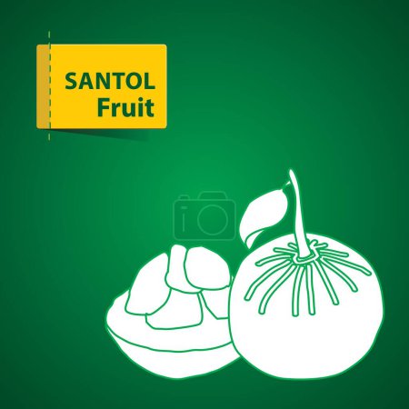 Téléchargez les photos : Santol fruits Illustration, icône blanche sur fond vert - en image libre de droit