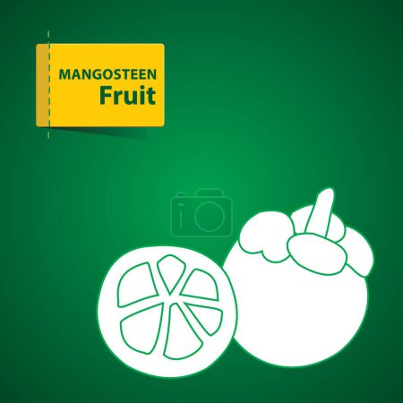 Téléchargez les photos : Fruits Illustration sur fond vert, mangoustan - en image libre de droit