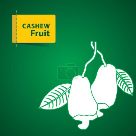 Photo for Fruits Illustration on green background, cashew fruit - Royalty Free Image