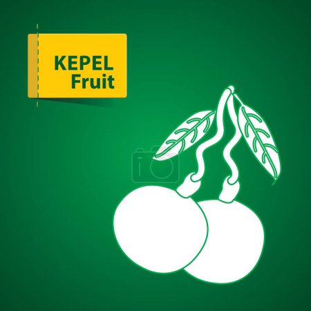 Foto de Frutas kepel Ilustración, icono blanco sobre fondo verde - Imagen libre de derechos