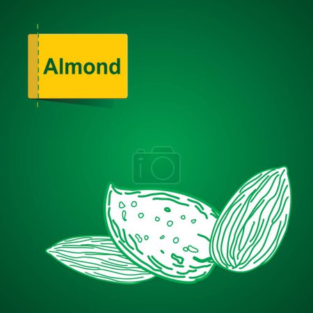 Photo for Almonds Illustration, white icon on green background - Royalty Free Image