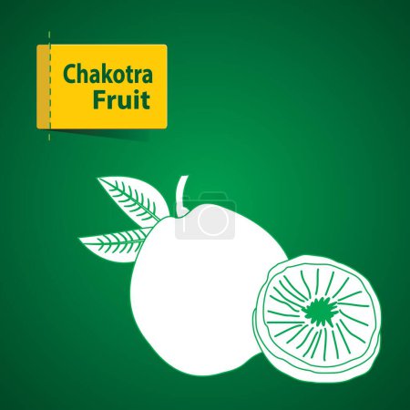 Photo for Chakotra fruit Illustration, white icon on green background - Royalty Free Image