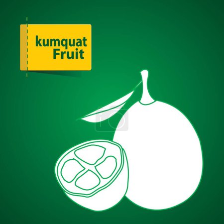 Téléchargez les photos : Kumquat fruit Illustration, icône blanche sur fond vert - en image libre de droit