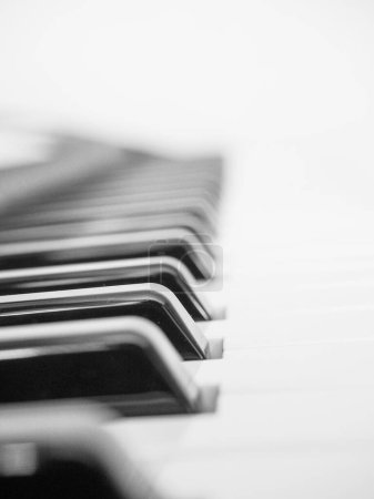 Téléchargez les photos : Clavier musical noir et blanc - en image libre de droit