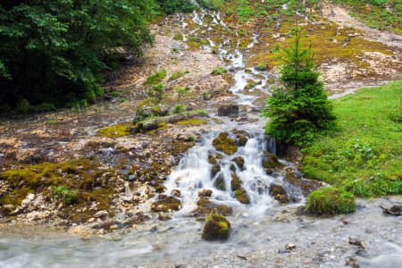 Téléchargez les photos : Ruisseau entouré de végétation traversant les rochers - en image libre de droit
