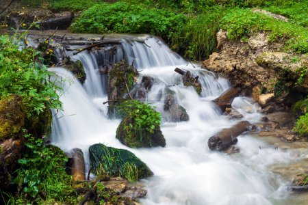 Téléchargez les photos : Ruisseau entouré de végétation traversant les rochers - en image libre de droit