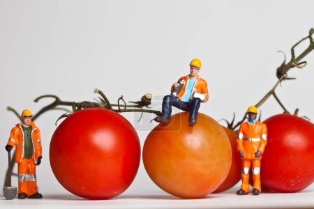Foto de Personas en miniatura en acción con tomates - Imagen libre de derechos