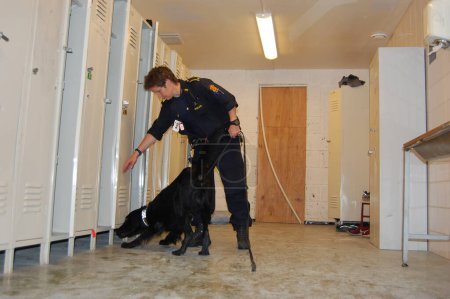 Téléchargez les photos : Le maître-chien Torill Borochstein et Nando. District policier d'Oslo - en image libre de droit
