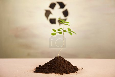 Foto de Reciclar símbolo, ecología, brillante concepto de tono colorido - Imagen libre de derechos