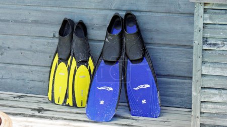 Photo for Diving  equipment - colorful flippers at Maldives - Royalty Free Image