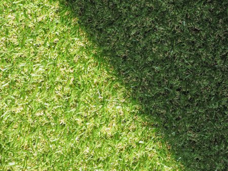Téléchargez les photos : Plan plein cadre de belle herbe pour fond - en image libre de droit