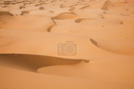 Photo for Sand background, colorful vibrant travel theme - Royalty Free Image
