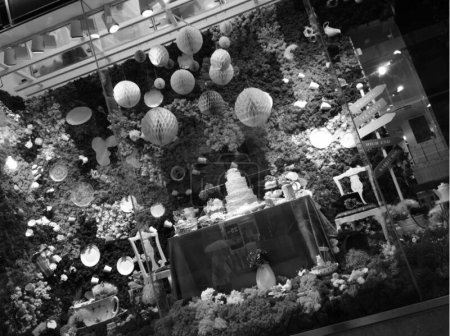 Téléchargez les photos : Photo noir et blanc du magnifique sapin de Noël - en image libre de droit