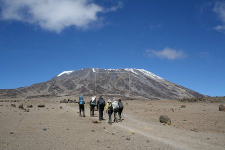 Photo for Kilimanjaro, Tanzania background view - Royalty Free Image