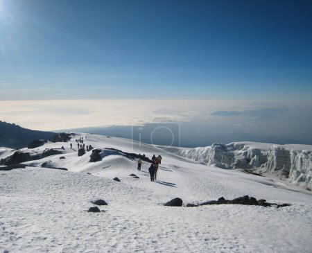 Photo for Kilimanjaro, Tanzania background view - Royalty Free Image