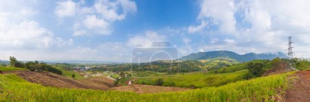 Photo for Panorama forest destruction, nature - Royalty Free Image