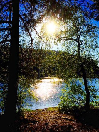 Téléchargez les photos : Beautiful sunset in the forest and lake - en image libre de droit