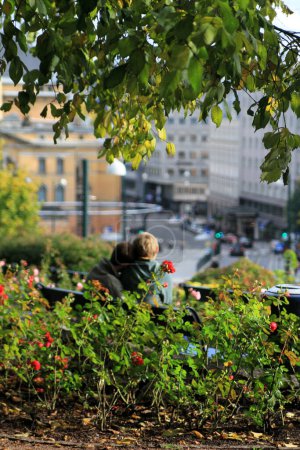 Téléchargez les photos : Beau parc sur la colline à Oslo - en image libre de droit
