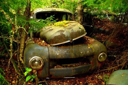 Photo for Old rusty cars at car cemetery - Royalty Free Image
