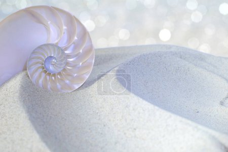 Foto de Concha de mar sobre arena con espacio para copiar - Imagen libre de derechos