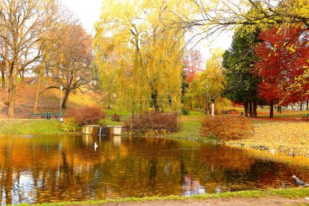 Foto de Hermoso parque en temporada de otoño - Imagen libre de derechos