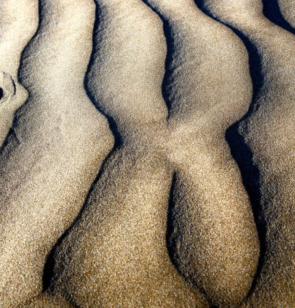 Photo for Dry sand on the beach - Royalty Free Image