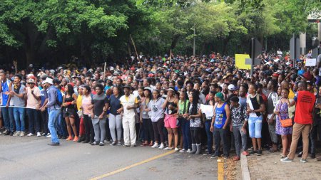 Téléchargez les photos : Afrique du Sud - Manifestation libre avec les étudiants - en image libre de droit