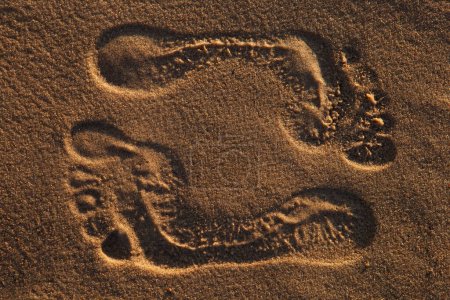 Téléchargez les photos : Empreintes de pas dans le sable - en image libre de droit
