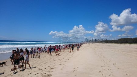 Téléchargez les photos : Personnes marchant sur la plage pendant la journée - en image libre de droit