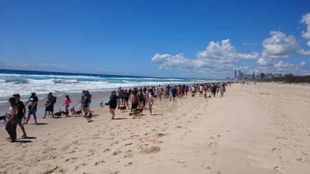 Téléchargez les photos : Personnes marchant à la plage - en image libre de droit