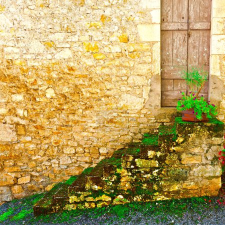 Téléchargez les photos : Vieux mur de pierre avec une plante verte - en image libre de droit