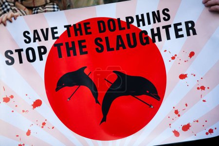 Photo for UNITED-KINGDOM, London: Hundreds of animal rights protesters wave banners and inflatable dolphins opposite the Japanese embassy in Piccadilly, London on January 16, 2016 - Royalty Free Image