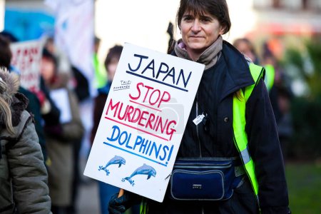 Foto de REINO UNIDO, Londres: Cientos de manifestantes por los derechos de los animales ondean pancartas y delfines inflables frente a la embajada japonesa en Piccadilly, Londres, el 16 de enero de 2016 - Imagen libre de derechos