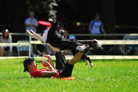 Foto de Perro frisbee campeonato evento - Imagen libre de derechos