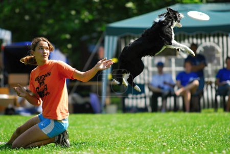 Téléchargez les photos : Chien frisbee championnat événement - en image libre de droit