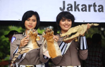 Téléchargez les photos : Commerce illégal en Jakarta, Indonésie - en image libre de droit