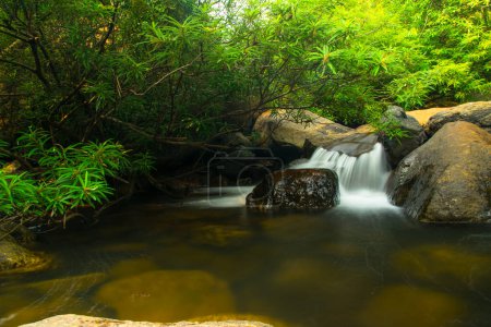 Téléchargez les photos : Vue imprenable sur la cascade dans la nature - en image libre de droit
