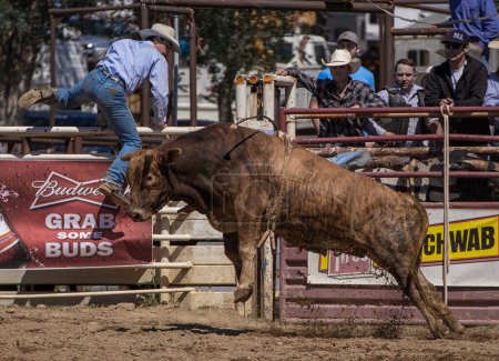 Photo for Ty Pozzobon Invitational PBR - Royalty Free Image