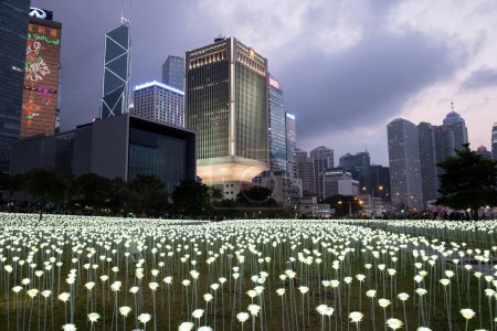 Photo for HONG KONG. LIGHT ROSE GARDEN - Royalty Free Image