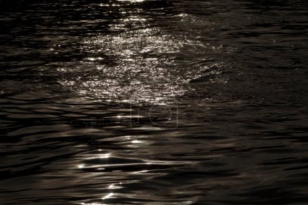 Foto de Superficie de agua con olas y reflejos. imagen en blanco y negro - Imagen libre de derechos