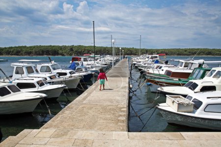 Téléchargez les photos : Marina Punat, Côte Adriatique, Croatie - en image libre de droit