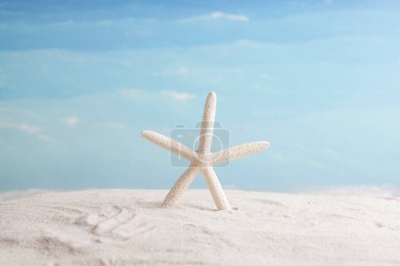 Foto de Accesorios de playa sobre fondo azul - Imagen libre de derechos