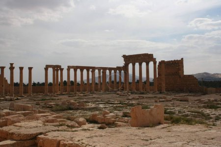Foto de SYRIA, Palmira - 13 de abril de 2010: Ruinas de la antigua ciudad de Palmira situada en un oasis en el centro de Siria - Imagen libre de derechos