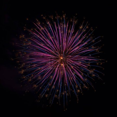 Photo for Beautiful festive fireworks in night sky - Royalty Free Image